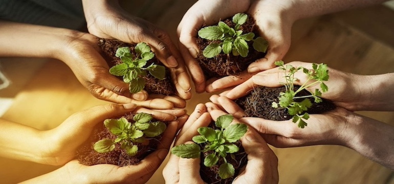 Tujuan dan Misi dlhjawatengah.id sebagai Penggerak Pelestarian Lingkungan di Jawa Tengah