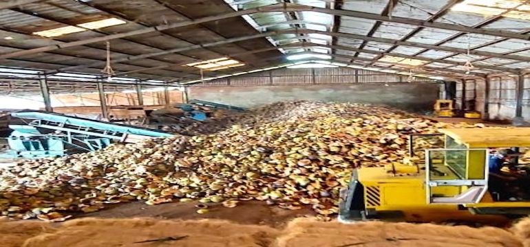 Mesin Press Cocopeat: Kelebihan, Jenis Mesin Produksi Sabut Kelapa, dan Manfaatnya