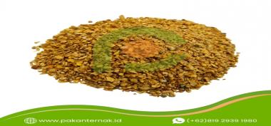 Pakan Ayam Petelur: Panduan Memilih Nutrisi dan Supplier Terbaik