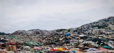 Sinergi dan Kolaborasi Dinas Lingkungan Hidup Provinsi Kalimantan Timur untuk Pelestarian Lingkungan